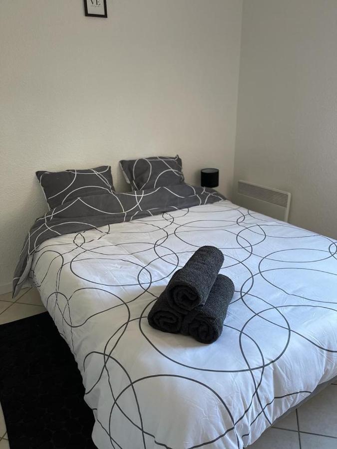 Logement Entier - Universite - Parking Privatif - Wifi Le Mans Kültér fotó
