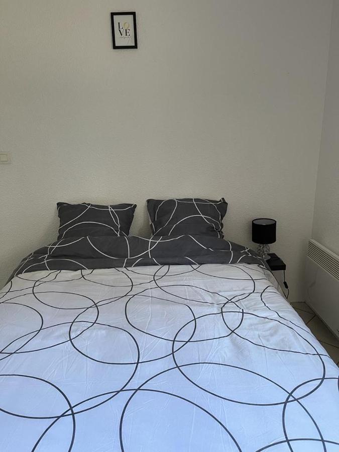 Logement Entier - Universite - Parking Privatif - Wifi Le Mans Kültér fotó